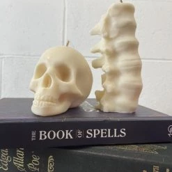 Cheap ❤️ THE BLACKENED TEETH Gothic Homewares Spine [Ivory] | SCENTED CANDLE 👏 -Halloween Sales IMG 5905 124567ea d369 4060 a9f9 e78059209555 700x700