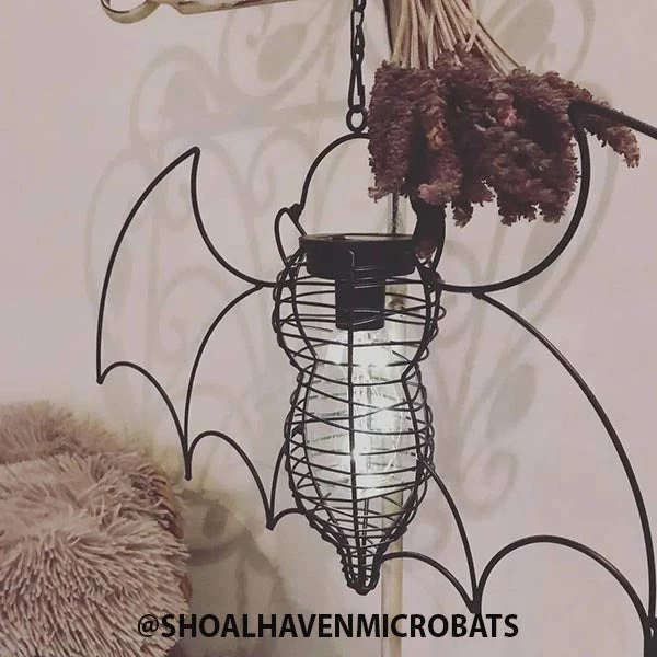 Buy ✔️ ALCHEMY GOTHIC Bats Bat | GARDEN LIGHT ✔️ 4 Buy ✔️ ALCHEMY GOTHIC Bats Bat | GARDEN LIGHT ✔️ - Image 2