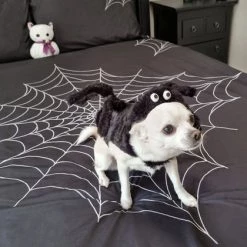 Best Sale ❤️ HELLS BLANKETS Gothic Homewares Web Of Nightmares | QUEEN QUILT SET ⌛ -Halloween Sales hells blankets web of nightmares quilt set 06 ec858dc6 5b88 408e 8977 14fa77a82d90 700x700