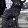 Promo 🧨 NEMESIS NOW Cats Salem | FIGURINE` 🎁 -Halloween Sales nemesis now salem small figure 7 6cc6614c 6b5f 4d9e ab55 64e0e360eada 700x700