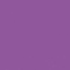 Brand new ❤️ STARGAZER 💀 Halloween Plum | SEMI-PERMANENT LIP STAIN PEN 🎉 -Halloween Sales semi permanent lip stain pen 10 2 700x700