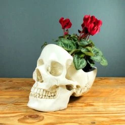 Cheapest 👍 SUCK UK Gothic Homewares Skull | BOWL [WHITE] 😍 -Halloween Sales skull white tidy 1 700x700