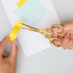 New ๐ฏ SUCK UK ๐ Halloween Skull | SCISSORS ๐ 26 New ๐ฏ SUCK UK ๐ Halloween Skull | SCISSORS ๐ -Halloween Sales suck uk skull scissors 5 d186ee36 eff0 40d2 b2b4 f2490db9674d 700x700