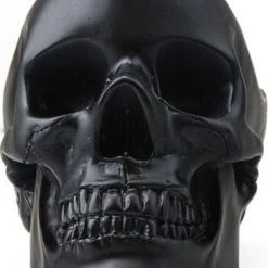 Top 10 😀 SUCK UK The Nightmare Before 🎄 Christmas Skull | BOWL [BLACK] ⭐ -Halloween Sales suk uk black skull bowl 4 700x700