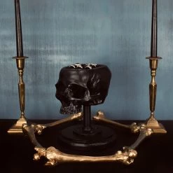 Flash Sale 💯 THE BLACKENED TEETH Gothic Homewares Skull [Black] | JEWELLERY HOLDER 🎉 -Halloween Sales the blackened teeth skull black jewellery holder 2 511b73b6 0651 4a4f b07a 466ad38d850f 700x700