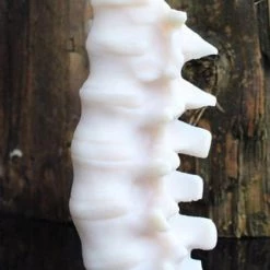Cheap ❤️ THE BLACKENED TEETH Gothic Homewares Spine [Ivory] | SCENTED CANDLE 👏