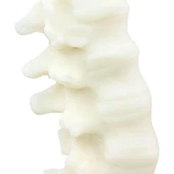 Cheap ❤️ THE BLACKENED TEETH Gothic Homewares Spine [Ivory] | SCENTED CANDLE 👏 -Halloween Sales the blackened teeth spine ivory scented candle 6 f6c5a5e4 bf04 4cf7 aa50 6df4fe9ff10a 700x700